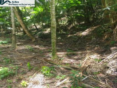 Terreno para Venda, em Juquitiba, bairro Centro