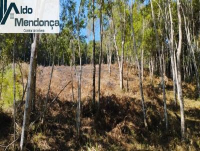 Terreno para Venda, em Juquitiba, bairro Centro