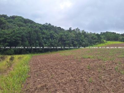 rea Rural para Venda, em Mariana Pimentel, bairro Linha do Registro