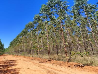 Fazenda para Venda, em Corao de Jesus, bairro -