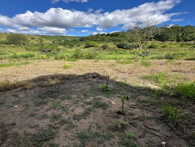 Chcara para Venda, em Tefilo Otoni, bairro Lajinha