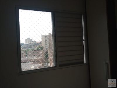 imagem-miniatura
