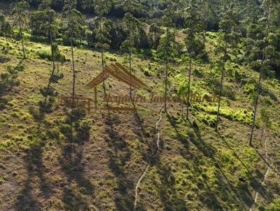 Stio para Venda, em Guare, bairro rea rural