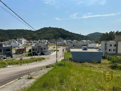 Terreno para Venda, em Cambori, bairro So Francisco de Assis