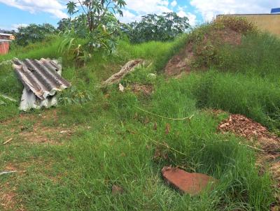 Terreno para Venda, em Gravata, bairro Planaltina