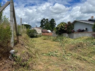 Terreno para Venda, em Canoinhas, bairro Industrial I