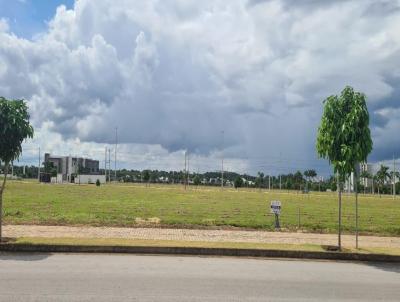 imagem-miniatura