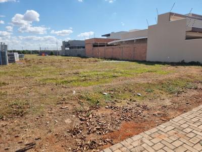 Terreno para Venda, em Lucas do Rio Verde, bairro Bairro Florais dos Buritis