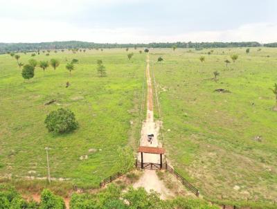 Fazenda para Venda, em Nova Cana do Norte, bairro rural