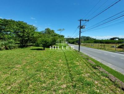Terreno para Venda, em Indaial, bairro Tapajs