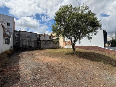 Terreno para Venda, em Otaclio Costa, bairro CENTRO COMERCIAL