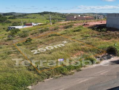 imagem-miniatura