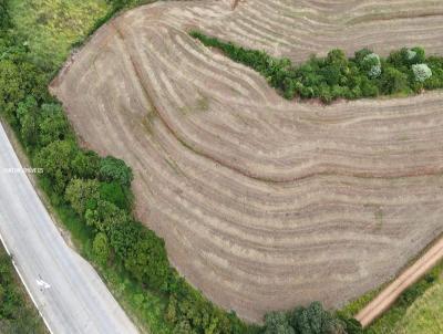 �rea Rural para Venda, em S�o Jos� do Cedro, bairro LINHA SANTO ANTONIO