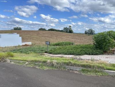 Terreno para Venda, em , bairro Dona Carolina