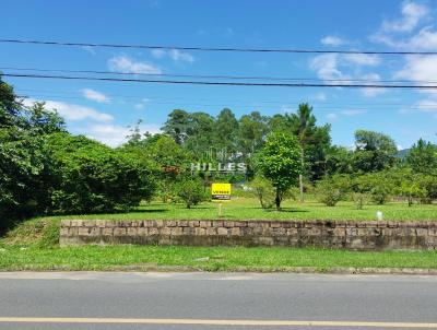 Terreno para Venda, em Indaial, bairro Tapajs