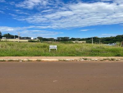 Terreno para Venda, em Ponta Por, bairro Centro