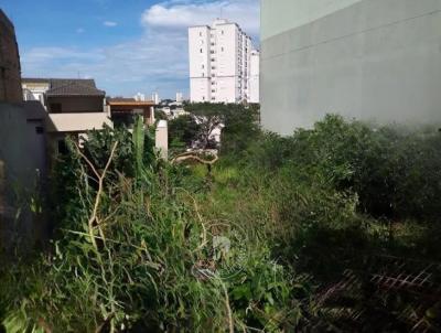 Terreno para Venda, em Santo Andr, bairro Vila Humait