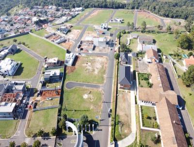 Loteamento para Venda, em Ponta Grossa, bairro Jardim Carvalho