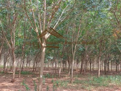 Fazenda para Venda, em Cassilndia, bairro rea rural