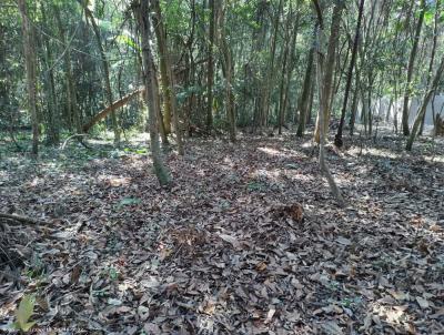 Terreno para Venda, em So Paulo, bairro Sete Praias