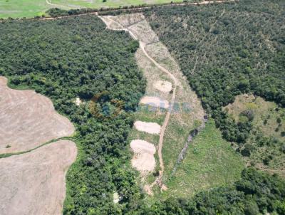 Terreno Rural para Venda, em Silvnia, bairro Regio do Quilombo