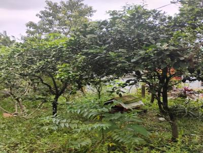 Casa para Venda, em Gravata, bairro Morungava, 1 dormitrio, 1 banheiro