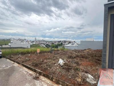 Lote para Venda, em Pouso Alegre, bairro Pousada do Sol