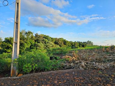 Lote para Venda, em Cruzeiro do Iguau, bairro Novo Horizonte