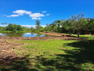 Stio / Chcara para Venda, em Gravata, bairro Morungava