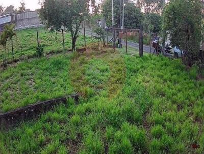 Stio para Venda, em Limeira, bairro Sitio So Miguel