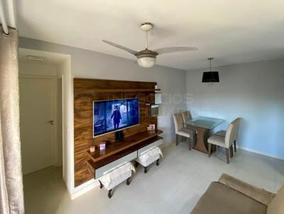 imagem-miniatura