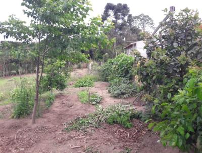 Terreno Rural para Venda, em Lapa, bairro Passa Dois