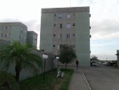 imagem-miniatura