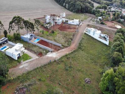 Terreno para Venda, em Ronda Alta, bairro LOTEAMENTO TODESCHINI