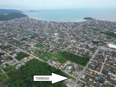 imagem-miniatura