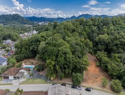Terreno para Venda, em Blumenau, bairro Badenfurt