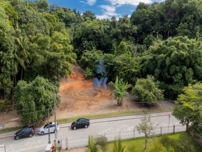 Terreno para Venda, em Blumenau, bairro Badenfurt