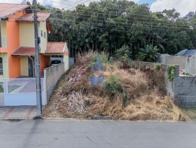 Terreno para Venda, em Indaial, bairro Tapajs