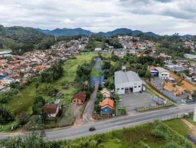 Terreno para Venda, em Indaial, bairro Benedito