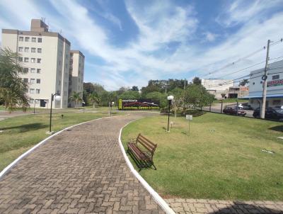 imagem-miniatura