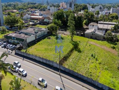Terreno para Venda, em Indaial, bairro Centro