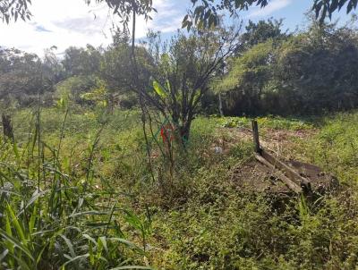 rea para Venda, em Bragana Paulista, bairro Penha