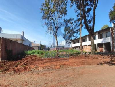 Terreno para Venda, em , bairro Bettim