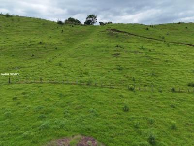 �rea Rural para Venda, em S�o Jos� do Cedro, bairro Linha Novo Sarandi
