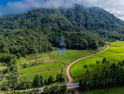 Terreno para Venda, em Rio dos Cedros, bairro Santo Antonio