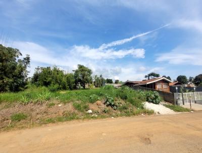 Terreno para Venda, em , bairro Arpu