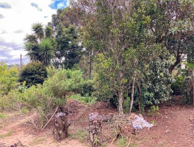 Terreno para Venda, em Mairipor, bairro Jardim Graziela