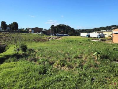 Terreno para Venda, em S�o Bento do Sul, bairro Rio Negro