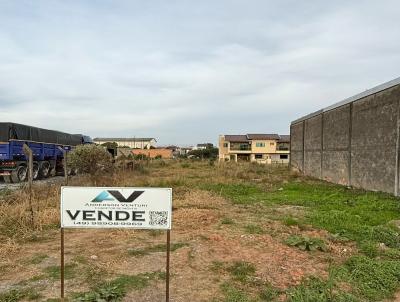 Terreno Comercial para Venda, em , bairro RODOVIA SC 114
