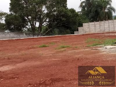 Terreno para Locao, em , bairro Palmeiras